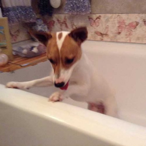 Bath Time